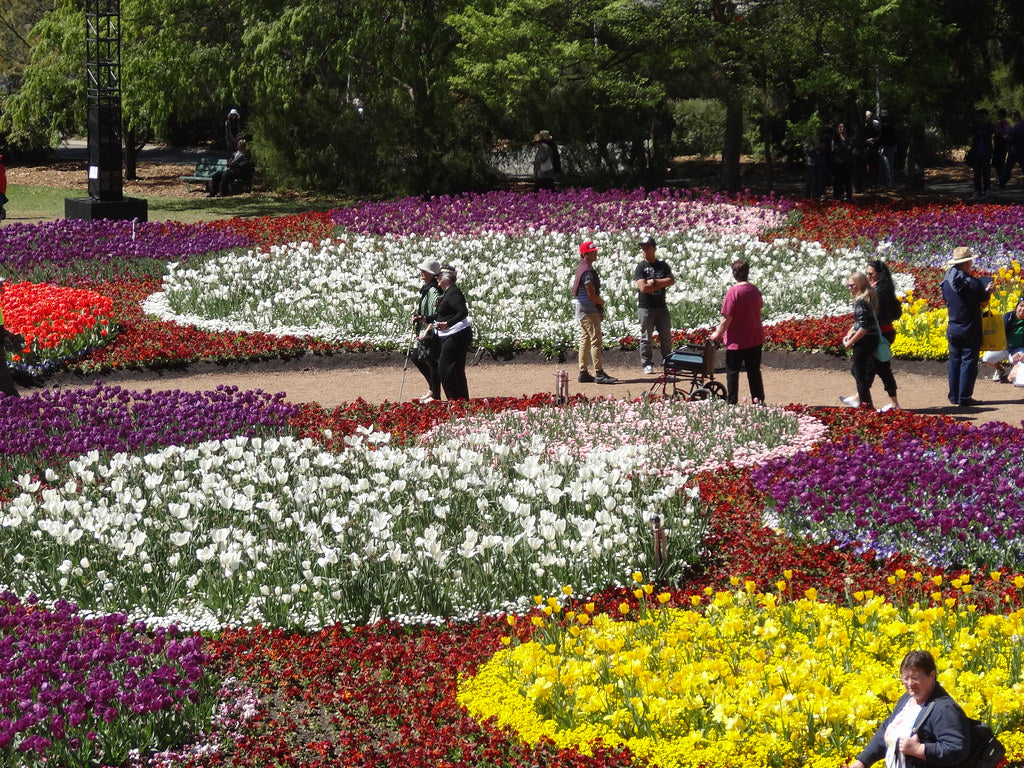 Spring around the World