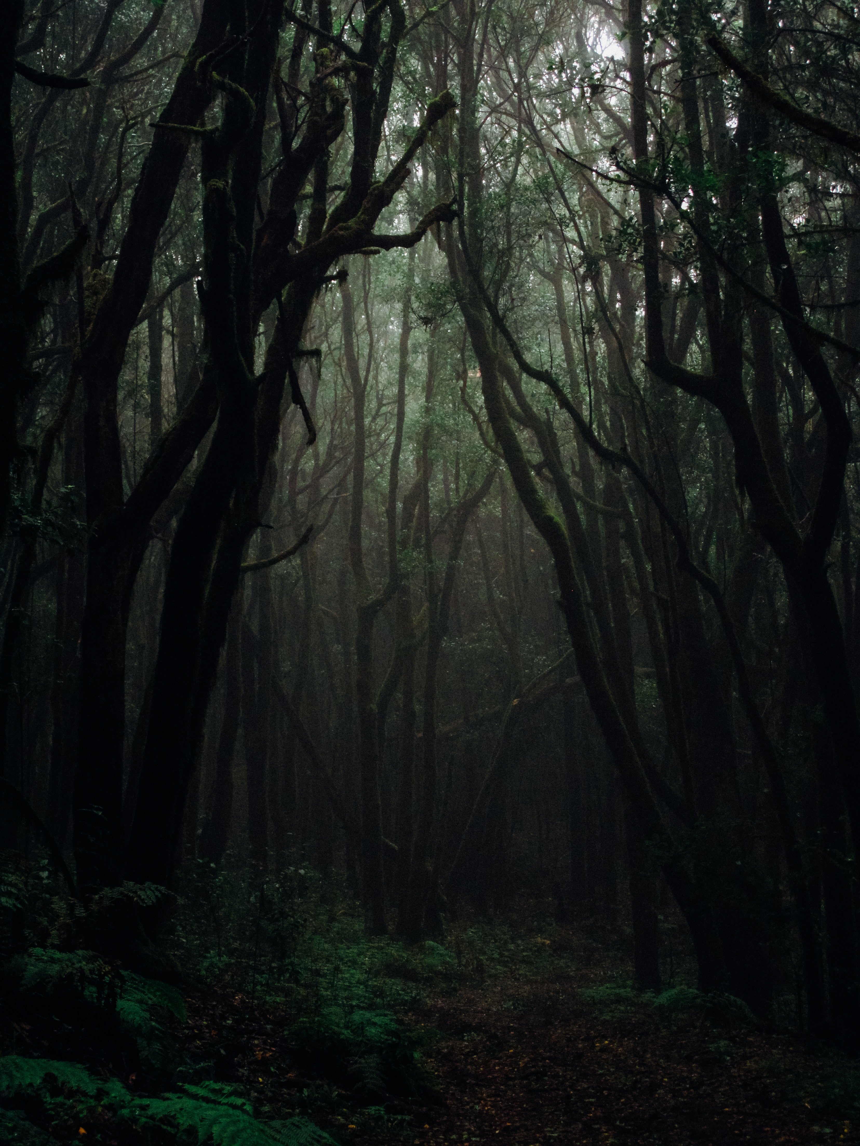 5 Scary Tales from Different Cultures