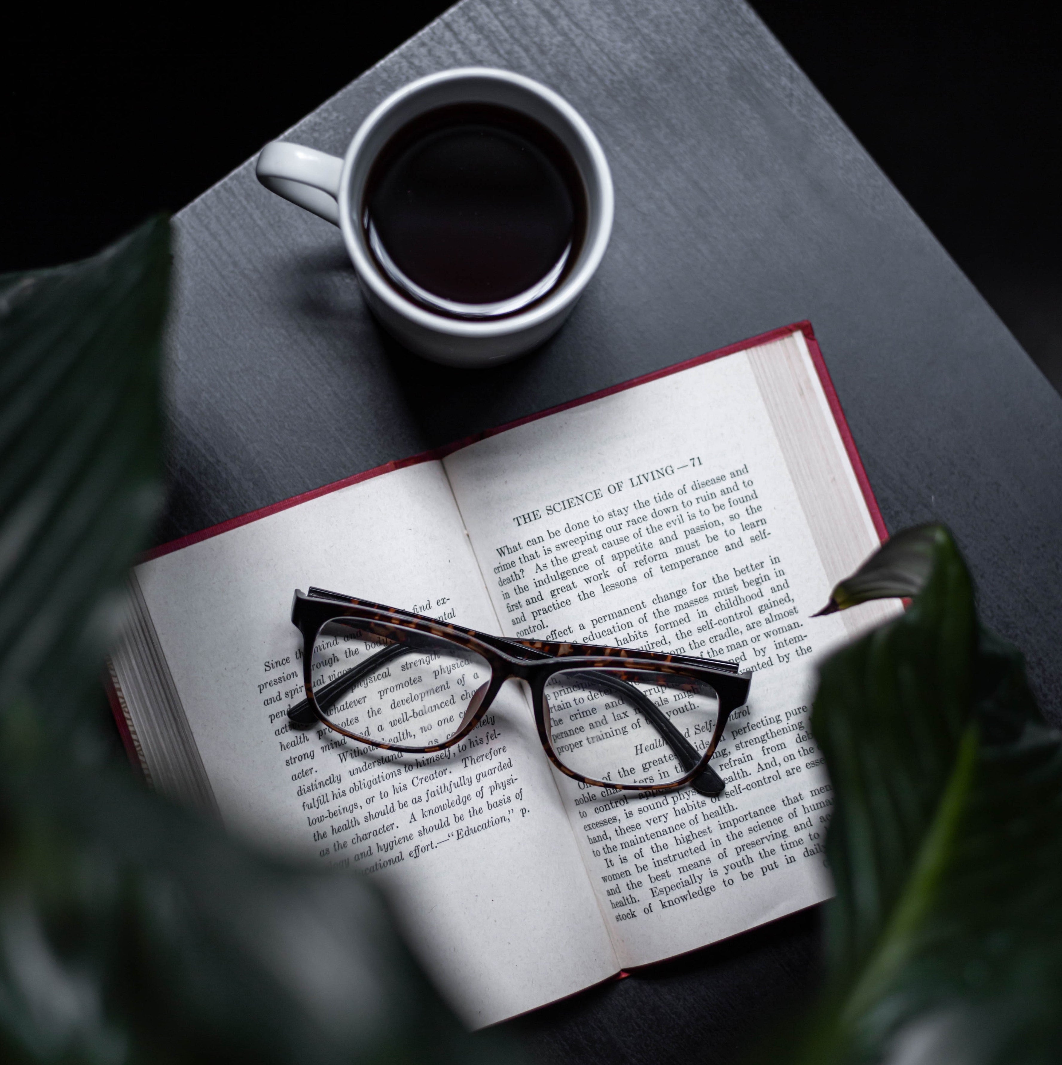 Top 5 Interesting Facts About Translation