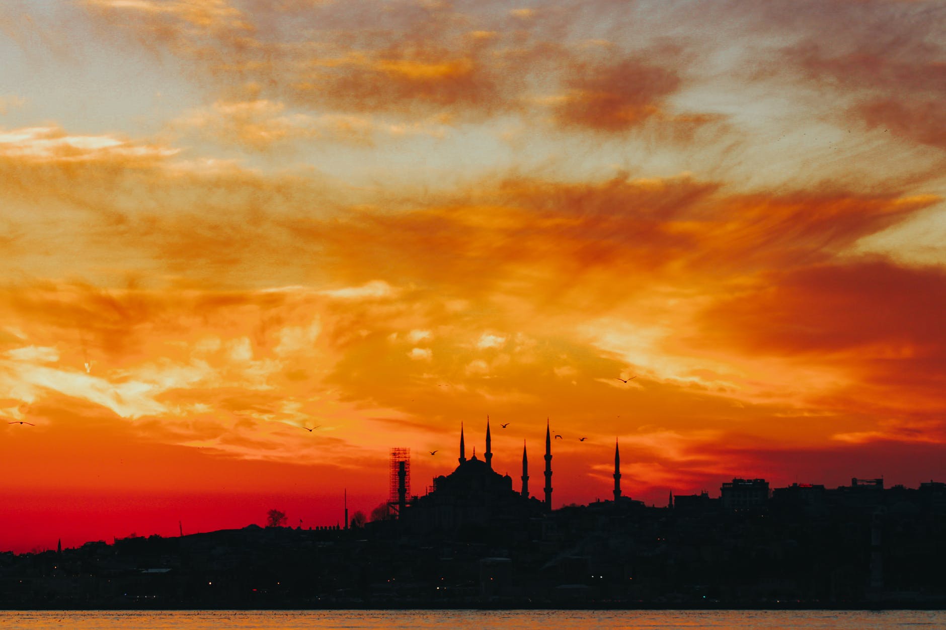 Phrases You Should Know Before Visiting Turkey